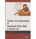 Protection and Implementation of International Human Rights in Domestic Law